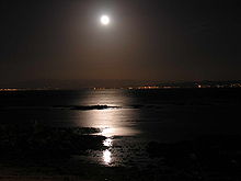 220px-Castiñeiras_Ribeira_Galicia_012