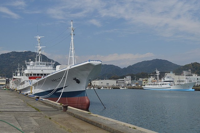 Port_of_Yaizu_2020-04_ac_(2)