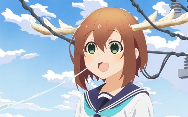 しかのこ