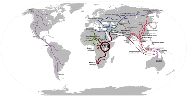 Human_migration_routes_following_Out-of-Africa