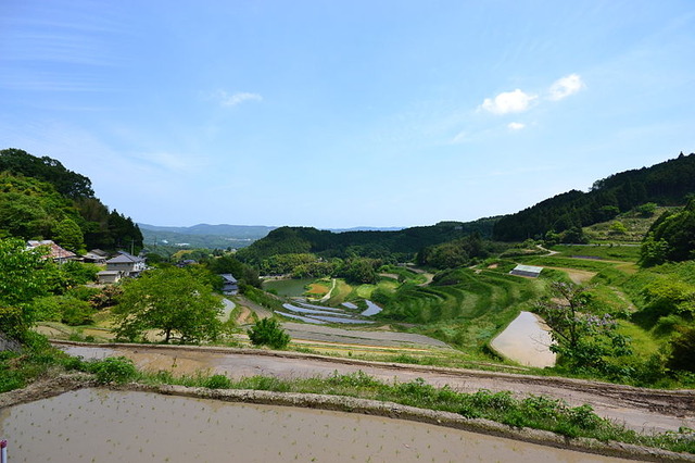 800px-Rice_Terrace_in_Kumenan_Town