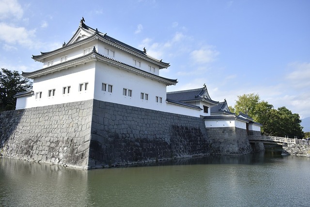 Sunpu_Castle_Tatsumi_Yagura_201015a